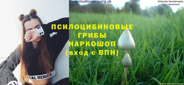 ALPHA-PVP Баксан