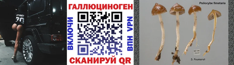 Псилоцибиновые грибы GOLDEN TEACHER  Беломорск 