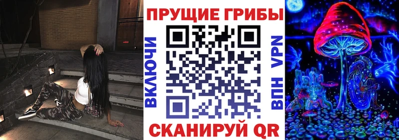Галлюциногенные грибы Cubensis Беломорск